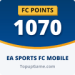 1070 FC Points